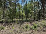Tract 13 County Road 2951 - Photo 2