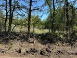 Tract 14 County Road 2951 - Photo 2