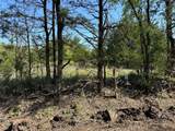 Tract 14 County Road 2951 - Photo 4