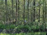 Tract 16 County Road 2960 - Photo 2
