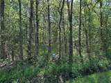 Tract 16 County Road 2960 - Photo 4