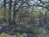 Tract 17 County Road 2960 - Photo 22
