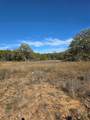 242.442 ACRES Mc Clure Ranch Road - Photo 14