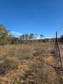 242.442 ACRES Mc Clure Ranch Road - Photo 15
