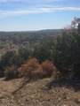 242.442 ACRES Mc Clure Ranch Road - Photo 17