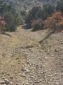 242.442 ACRES Mc Clure Ranch Road - Photo 18