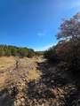 242.442 ACRES Mc Clure Ranch Road - Photo 19