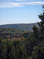 242.442 ACRES Mc Clure Ranch Road - Photo 2