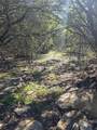 242.442 ACRES Mc Clure Ranch Road - Photo 23