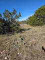 242.442 ACRES Mc Clure Ranch Road - Photo 25