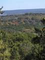 242.442 ACRES Mc Clure Ranch Road - Photo 3