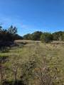 242.442 ACRES Mc Clure Ranch Road - Photo 30