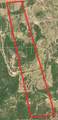 242.442 ACRES Mc Clure Ranch Road - Photo 5