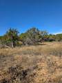 242.442 ACRES Mc Clure Ranch Road - Photo 9