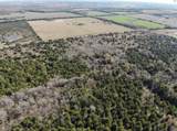 Tract 18 County Road 2960 - Photo 19