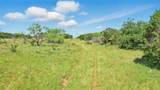 Tract 7 52.00 Acres Mountain Drive - Photo 2
