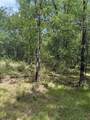 1741 Elm Lake Road - Photo 3