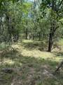 1741 Elm Lake Road - Photo 4
