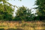 951 Loop 7 - Photo 33
