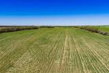542 County Road 505 - Photo 30