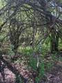 0300 Rockport Road - Photo 13