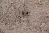 3842 Fm 2029 - Photo 3