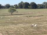 4487 Us Highway 287 - Photo 17