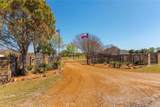 11030 Wild Rose Lane - Photo 29