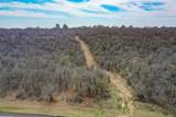 55 Acres Fm 61 - Photo 11