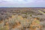55 Acres Fm 61 - Photo 14