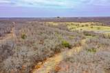 55 Acres Fm 61 - Photo 15