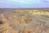 55 Acres Fm 61 - Photo 16