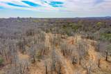 55 Acres Fm 61 - Photo 17