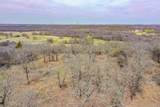 55 Acres Fm 61 - Photo 18
