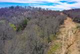 55 Acres Fm 61 - Photo 21