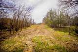 55 Acres Fm 61 - Photo 22