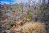 55 Acres Fm 61 - Photo 27