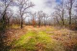 55 Acres Fm 61 - Photo 29