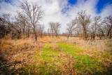 55 Acres Fm 61 - Photo 30