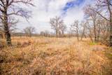 55 Acres Fm 61 - Photo 32
