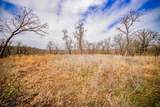 55 Acres Fm 61 - Photo 34