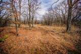 55 Acres Fm 61 - Photo 35