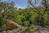 55 Acres Fm 61 - Photo 38