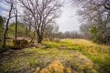 55 Acres Fm 61 - Photo 4