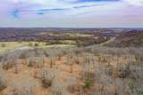 55 Acres Fm 61 - Photo 7