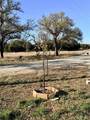 65 County Road 406 - Photo 17