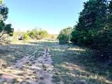 65 County Road 406 - Photo 23