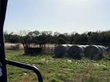 360 State Highway 16 - Photo 28