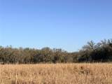 360 State Highway 16 - Photo 31