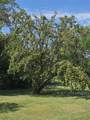 0 E Aimee Street - Photo 6